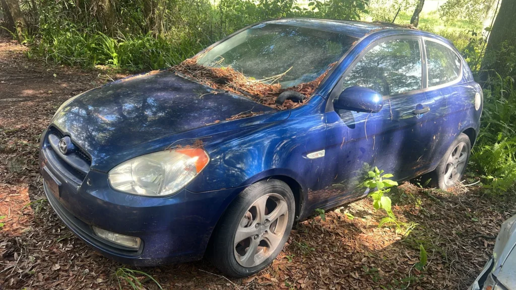 Sell My Junk Car Near Me Citra FL – Instant Cash